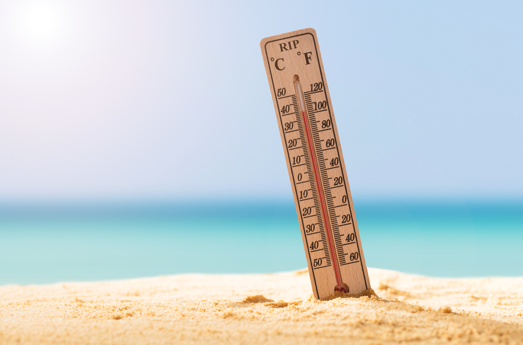 Try Not to Die this Summer