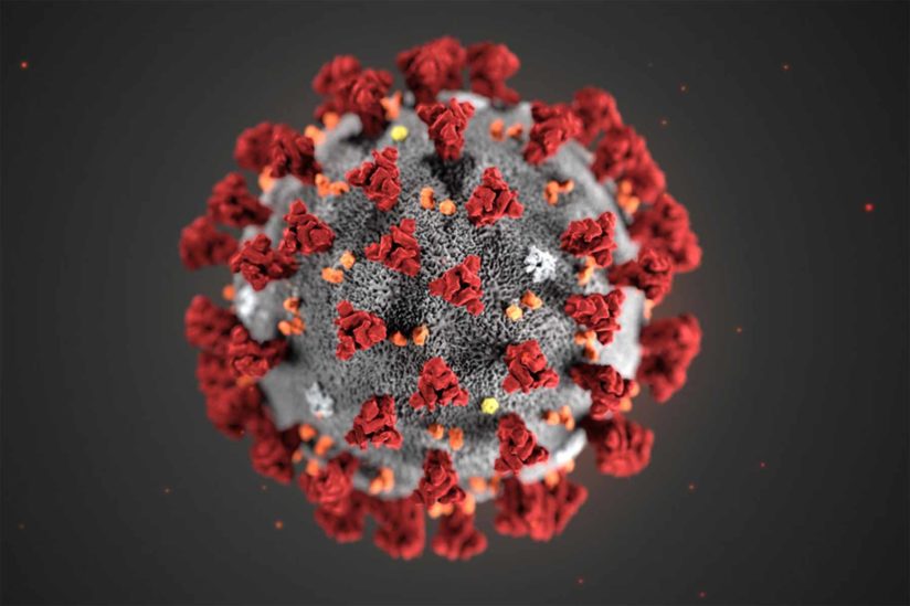 An illustration of the coronavirus created by the CDC, when viewed through an electron microscope